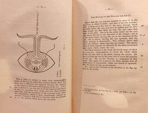 N73-العشر مقالات في العين/حنين بن اسحاق