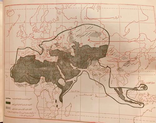 N57-حاضر العالم الاسلامي2/1/لوثروب/شكيب ارسلان