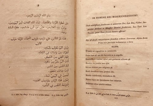 N-نثر اللال في الحكم والامثال او مجموع امثال وحكم...