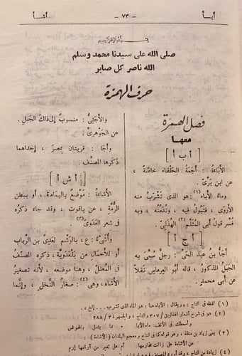 28-التكملة والذيل والصلة لما فات صاحب القاموس من ا...