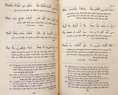 404-ديوان شعر ذي الرمة غيلان العدوي/كارليل مكارتني