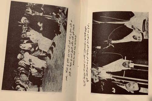 4743-اسود ال سعود /ال خميس