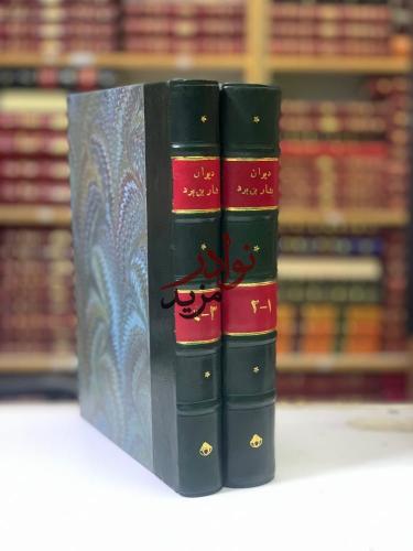 ديوان بشار بن برد4/1مجلدين لـ محمد الطاهر ابن عاشو...