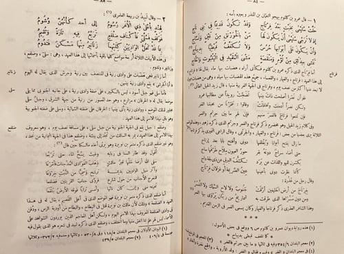 11711-صحيح الاخبار عما في بلاد العرب من الاثار 5/1...