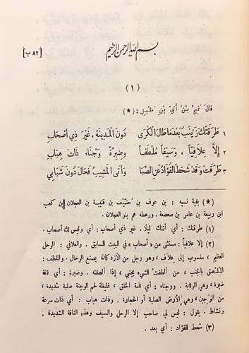 294-ديوان ابن مقبل