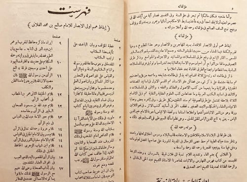 18870-ايقاظ همم اولي الأبصار للاقتداء بسيد المهاجر...
