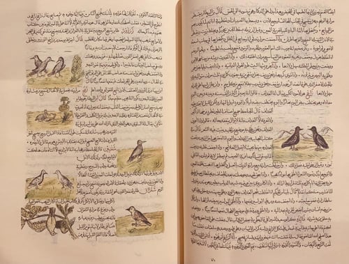 388-صورة مخطوط مسالك الابصار في ممالك الامصار /الع...