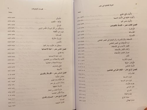 17851-الدولة الفاطمية في مصر تفسير جديد /ايمن فؤاد...