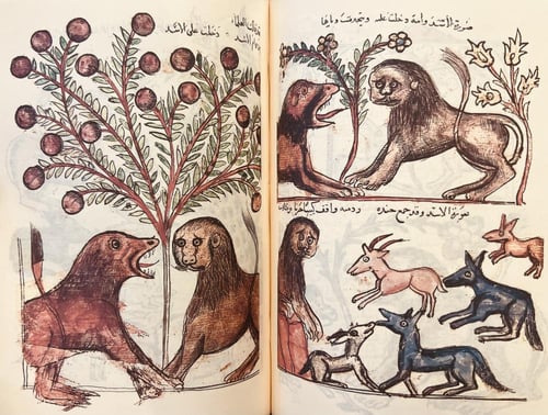 413-صورة مخطوط كليلة ودمنة/ابن المقفع