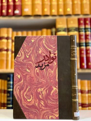 في مصر الاسلامية/زكي حسن