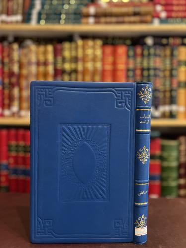 20592-الشهاب الراصد/محمد لطفي جمعة