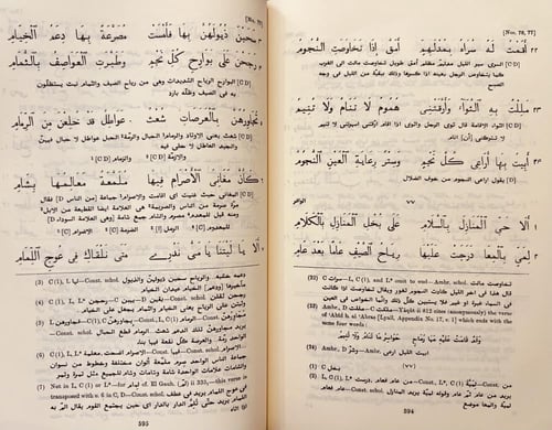 404-ديوان شعر ذي الرمة غيلان العدوي حجم كبير هامش