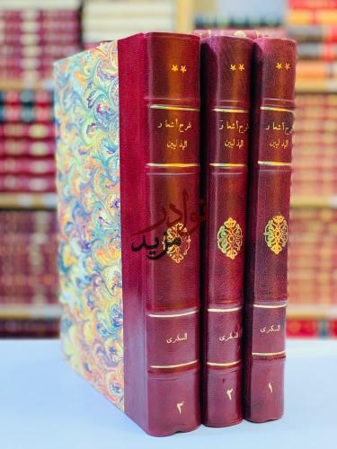 شرح اشعار الهذليين 3/1