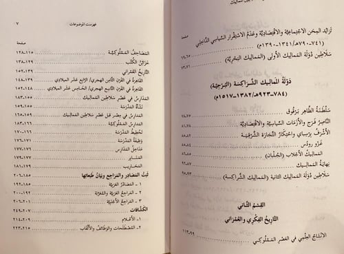 17856-دولة سلاطين المماليك في مصر/ايمن فؤاد سيد