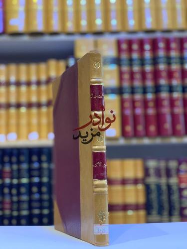 الاستدراك في الرد على رسالة ابن الدهان-ضياء الدين...