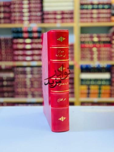 ديوان ابن خفاجة/ديوان ابن خفاجة (تحقيق اخر)تجليد ا...