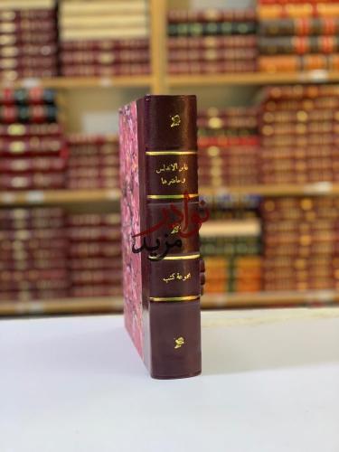 غابر الاندلس وحاضرها/نور الاندلس/رحلة الى بلاد الم...