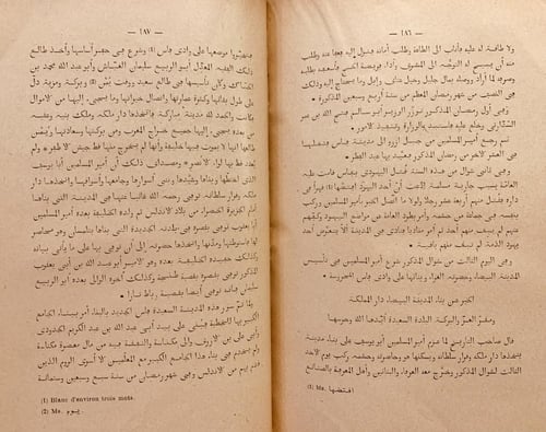 18177-الذخيرة السنية في تاريخ الدولة المرينية/محمد...
