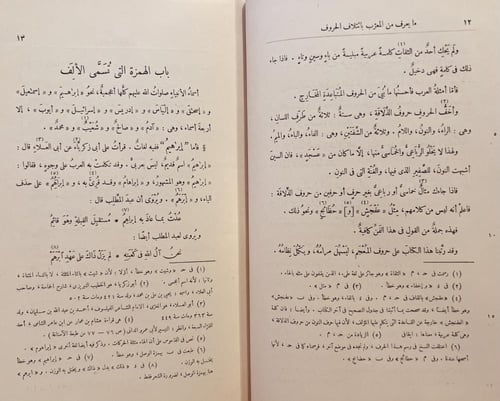 20599-المعرب من الكلام الاعجمي على حروف المعجم /ال...