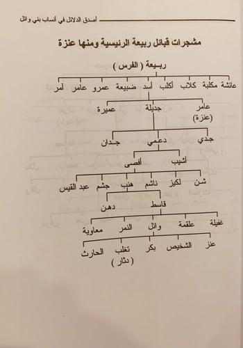 14579-اصدق الدلائل في انساب بني وائل قبائل عنزة تا...