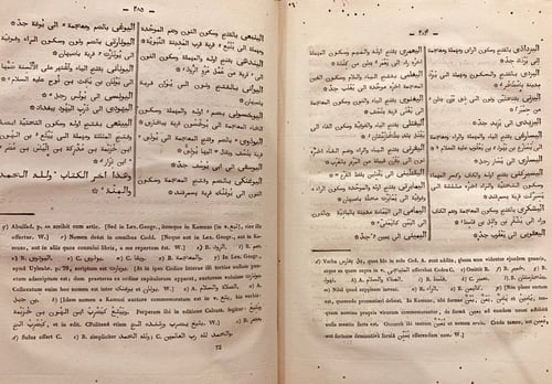 N29-لب اللباب في تحرير الانساب /السيوطي