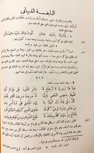 232-صحيح الاخبار عما في بلاد العرب من الاثار5/1مجل...