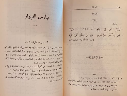 1033-ديوان الواواء الدمشقي/سامي الدهان
