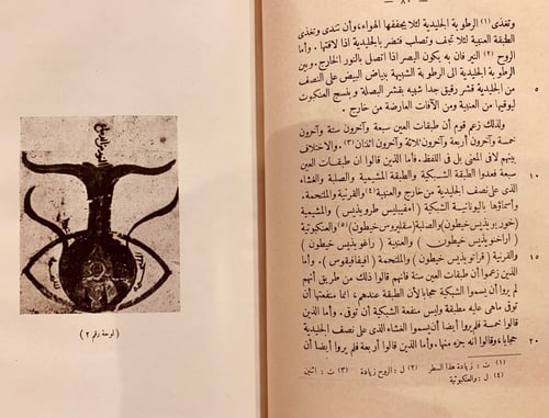 N73-العشر مقالات في العين/حنين بن اسحاق