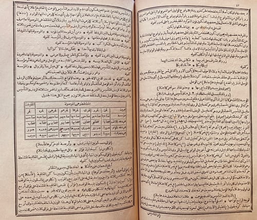 8893-شرح الصبان على منظومته في علم العروض