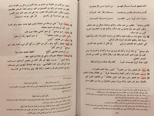 13021-البلدان اليمانية عند ياقوت الحموي/اسماعيل ال...