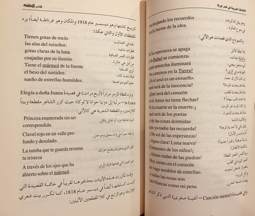 13616-الالفاظ العربية في شعر لوركا (الاندلس)/محمد...