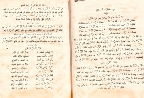 N51-الاغاني الكبير مجلد واحد /الاصبهاني