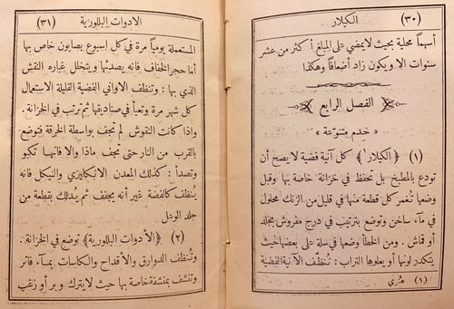 9602-الخادم والمخدوم-فرنسيس ميخائيل