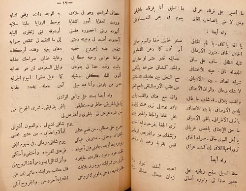 11137-الازهار النادية من اشعار البادية ج11