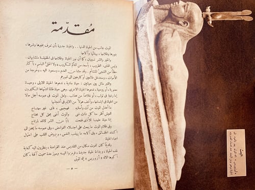 5805-على فراش الموت-طاهر الطناحي