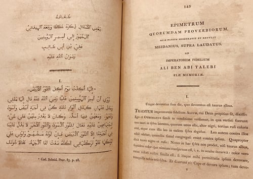 N-نثر اللال في الحكم والامثال او مجموع امثال وحكم...