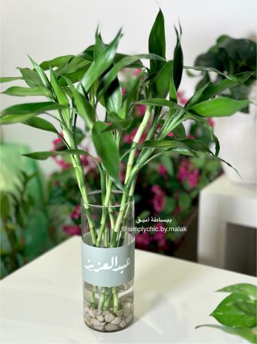 الرياض فقط - نبات البامبو في فازة بعبارة لطيفه أو...