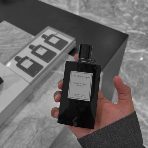 عطر فانگليف