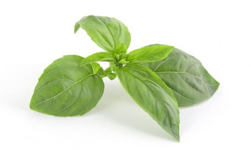 ريحان (100 جم)