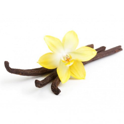 اعواد فانيلا بني جورمية مدغشقر (قطعتين)