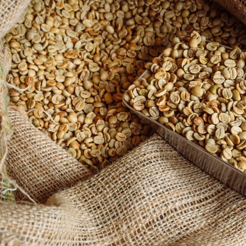 سيرادو - البرازيل