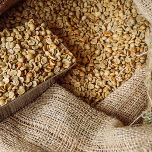 حبوب قهوة خضراء سانتوس - البرازيل