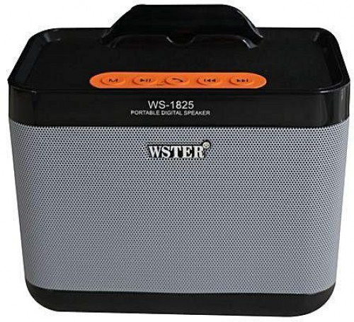 سبيكر لاسلكي عالي الجودة موديل WS-1825