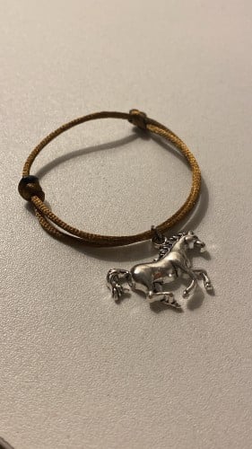 اسواره الخيل