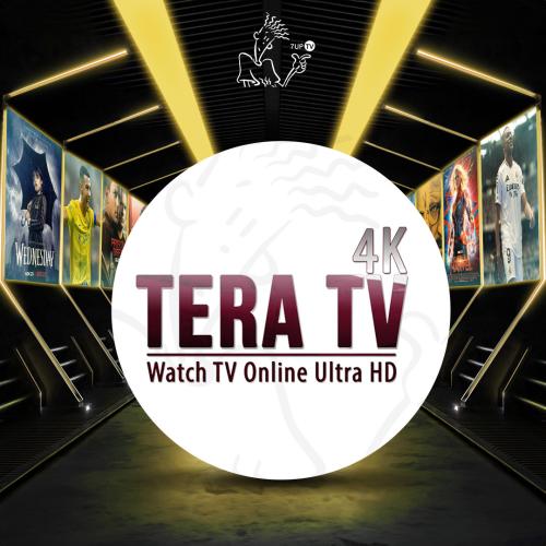 اشتراك تيرا سنه جهازين