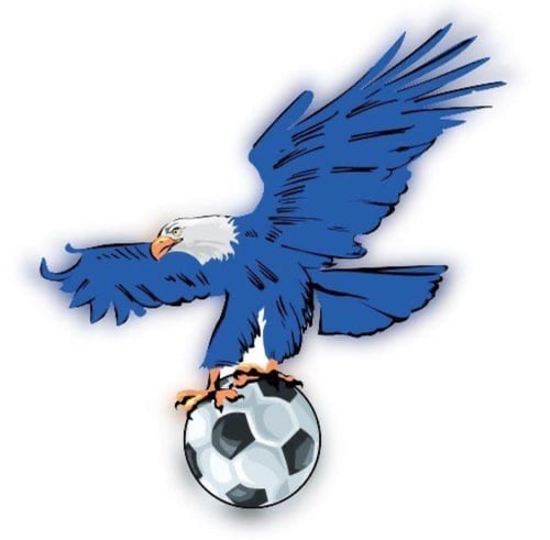 اشتراك فولتشر سنه + 3شهور مجانآ