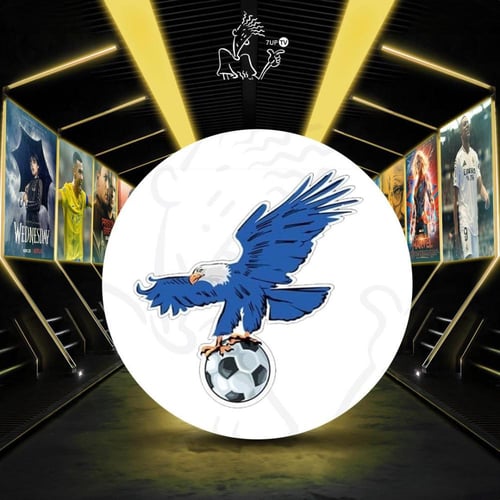 اشتراك فولتشر سنه + 3شهور مجانآ