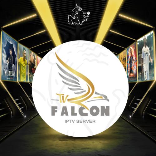 اشتراك فالكون سنه جهازين