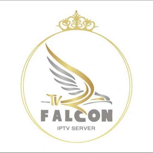 اشتراك فالكون شهر