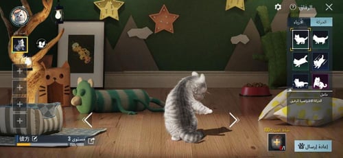 حساب ببجي تايوانيه